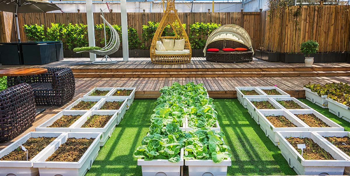 13 best raised garden beds to grow plants anywhere in 2023